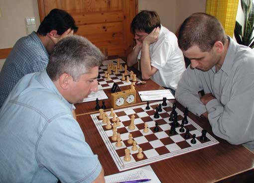 Havelberger in Verden
